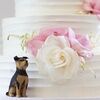 brini_p